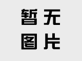凤凰牌电动车型号目录